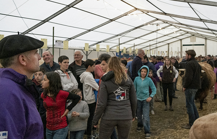 Visiteurs à la Foire agricole de Réalmont, près de Castres